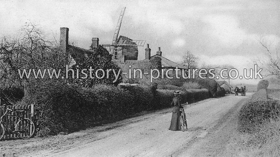 The Mill, Gt Leighs, Essex. c.1906